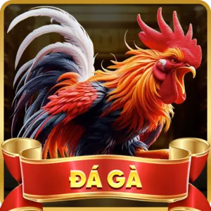 Trải nghiệm casino trực tuyến với người chia bài thật